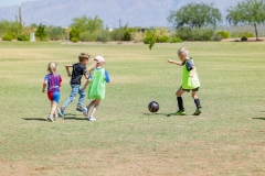 Photo by Tucson photographer Martha Lochert.